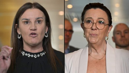 Jacqui Lambie breaks silence on senator's shock resignation from her party