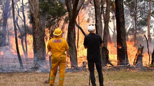Victoria braces for 'worst fire day in four years' as bushfires rage