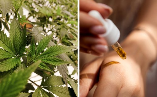 Everything to Know about CBD in Scandinavia