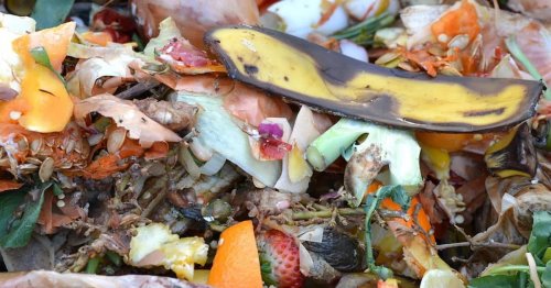DIY Composting for Beginners