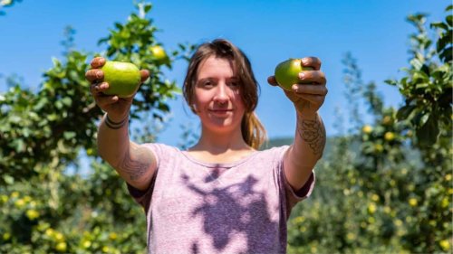 If You’ve Ever Wanted to Forage Like a Forest Witch, Start Here
