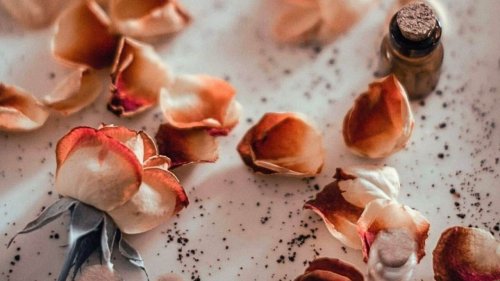 What to Do With Dried Rose Petals