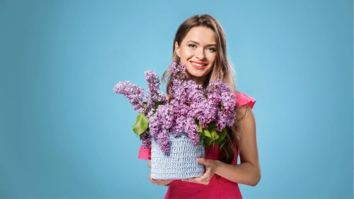 10 Flowers That Keep Blooming With Zero Effort