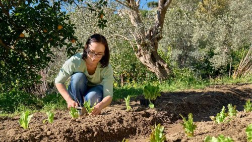 10 Heirloom Crops That Deserve a Spot in Your Garden