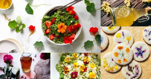 60+ Beautiful and Delicious Edible Flower Recipes