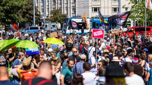 Auch in Baden-Württemberg demonstrieren zahlreiche Menschen für ein AfD-Verbot
