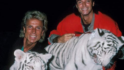 Jude Law und Andrew Garfield werden zu Siegfried und Roy