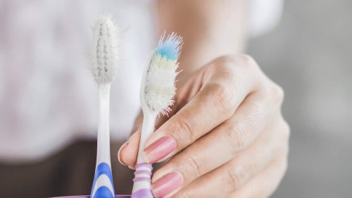 Ist die Zahnbürste die Keimschleuder im Bad? Eine Expertin klärt auf