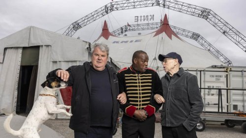 Jetzt sind die beiden Clowns zurück im Circus