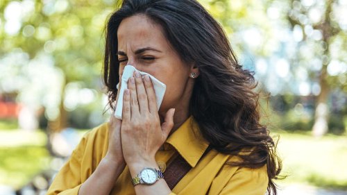 Frühling ohne Schniefen: So überstehen Allergiker die Pollensaison