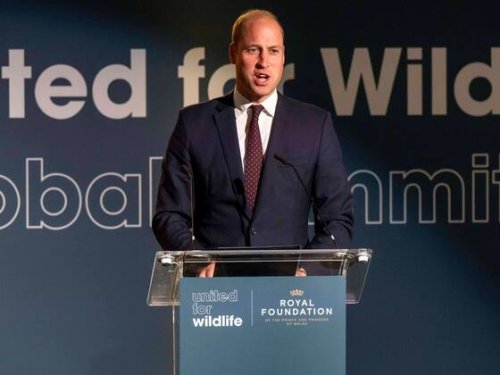 William in erster Rede als Prinz von Wales: Queen wird «sehr vermisst»