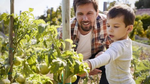 Zehn Tipps für eine umweltbewusste Erziehung von Kindern