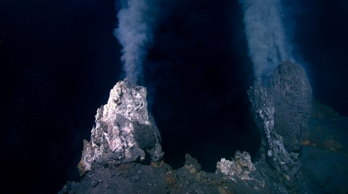 Au large du Canada, des milliers d'œufs géants apparaissent mystérieusement à la base d'un volcan sous-marin
