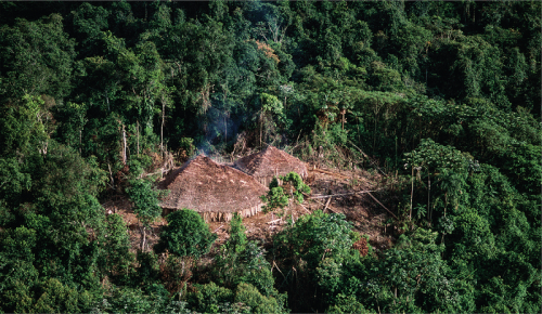 Human-food feedback in tropical forests
