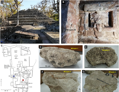 Unveiling the secret of ancient Maya masons: Biomimetic lime plasters with plant extracts