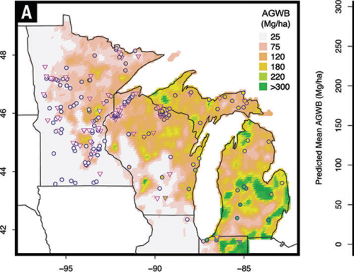 8000-year doubling of Midwestern forest biomass driven by population- and biome-scale processes