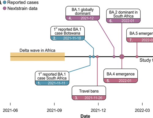 Gradual emergence followed by exponential spread of the SARS-CoV-2 Omicron variant in Africa