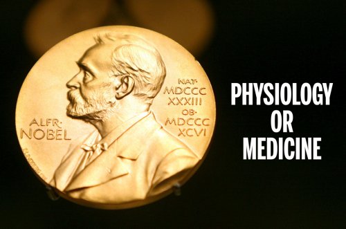 mRNA discovery that paved way for COVID-19 vaccines wins Nobel Prize in Physiology or Medicine