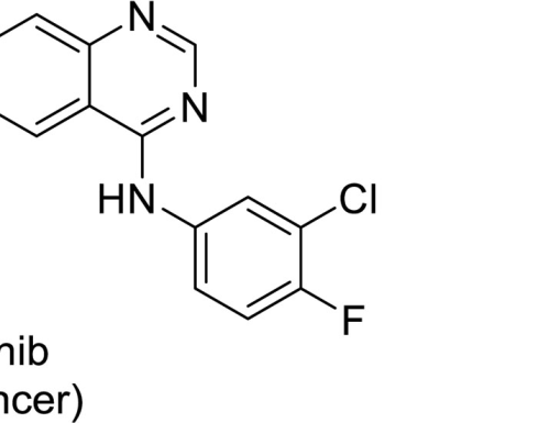 Synthesis of medicinally relevant oxalylamines via copper/Lewis acid synergistic catalysis