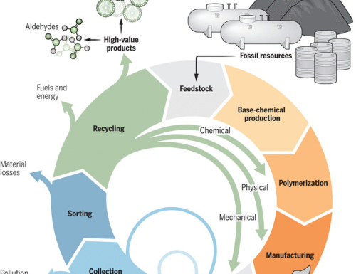 Plastic waste recycling is gaining momentum