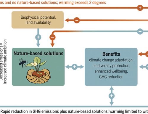 Harnessing the potential of nature-based solutions for mitigating and adapting to climate change