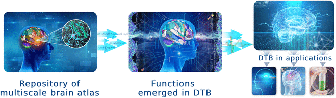 The Digital Twin Brain: A Bridge between Biological and Artificial Intelligence | Intelligent Computing