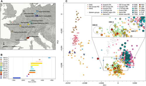 Ancient genome-wide DNA from France highlights the complexity of interactions between Mesolithic hunter-gatherers and Neolithic farmers