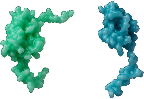 Protein name confusion created antibody mix-up affecting hundreds of papers | Flipboard