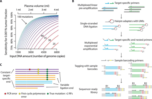 Personalized circulating tumor DNA analysis to detect residual disease after neoadjuvant therapy in breast cancer