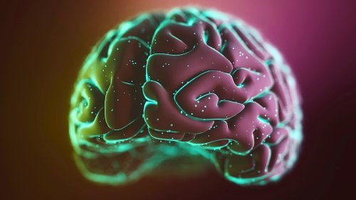 Exercise Triggers Memory-Related 'Brain Ripples', Study Finds