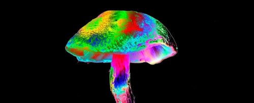 Psychedelics Could Pose Risks For People With Personality Disorders, Study Finds