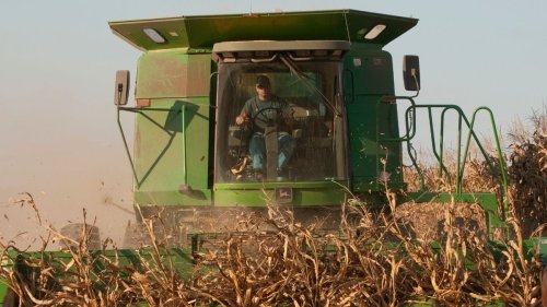 Scientists Found a Genius Way to Remove 'Forever Chemicals' From Soil