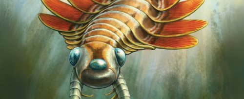 article preview