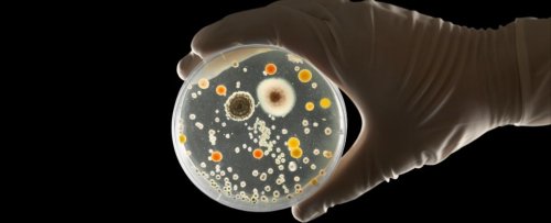 Scientists Reveal Where Most 'Hospital' Infections Actually Come From