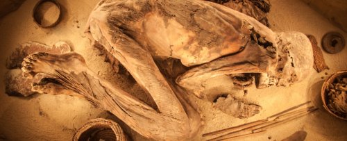 A Simple Mistake Might Have Encouraged Sick People to Eat The Dead