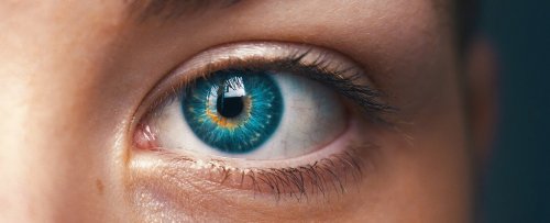 The Pupil in Your Eye Can Perceive Numerical Information, Not Just Light
