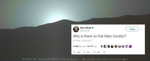 The Flat Earth Society Just Responded to Elon Musk's Tweet And We're Confused