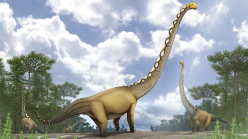 An entirely new species of giant dinosaur is discovered