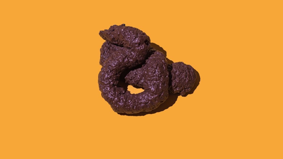 There Is a Universal Law in The Shape of All Poop, Physicists Reveal