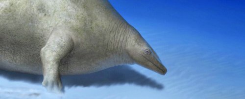 The 'Largest Creature of All Time' May Have Been a Physical Impossibility
