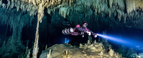 Underwater Labyrinth Hidden Beneath Mexico Contains a Huge Swathe of Life