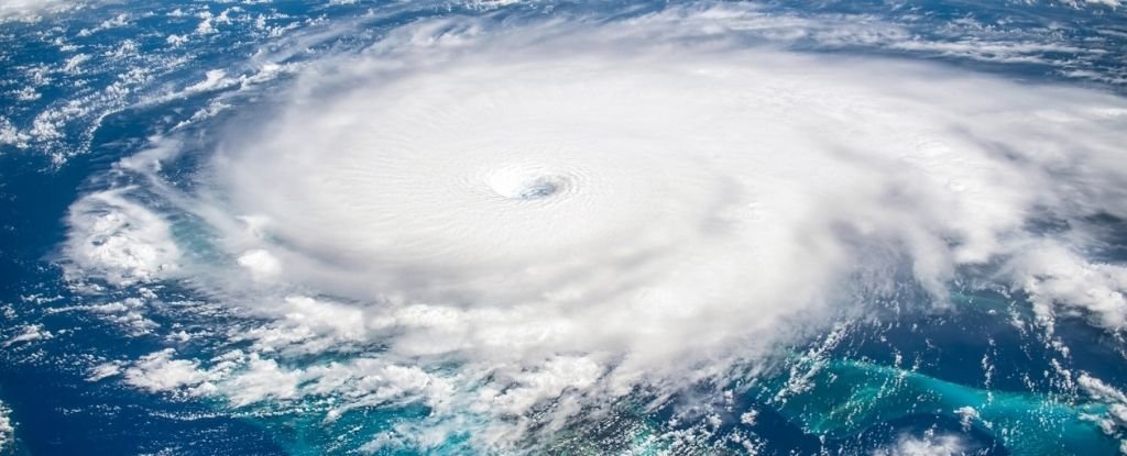 13. Climate & Nature Crisis cover image