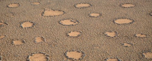 Atlas of Mysterious Fairy Circles Shows They're More Widespread Than We Thought