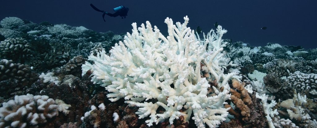 Environment cover image