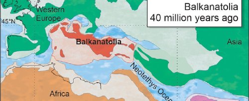 A Forgotten Continent From 40 Million Years Ago May Have Just Been Rediscovered