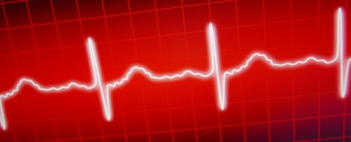 Your Heartbeat Shapes Your Perception of Time, Study Finds