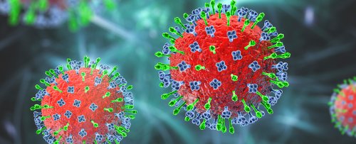 A New Virus Has Been Detected in China. Should You Be Worried About Langya Henipavirus?