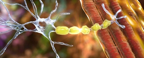 Your Brain Might Start 'Eating Itself' During Strenuous Endurance Exercise