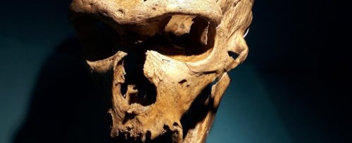 Momentous Discovery Shows Neanderthals Could Produce Human-Like Speech