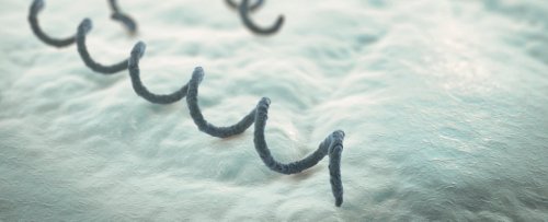 We May Have Been Completely Wrong About The Origins of Syphilis in Europe